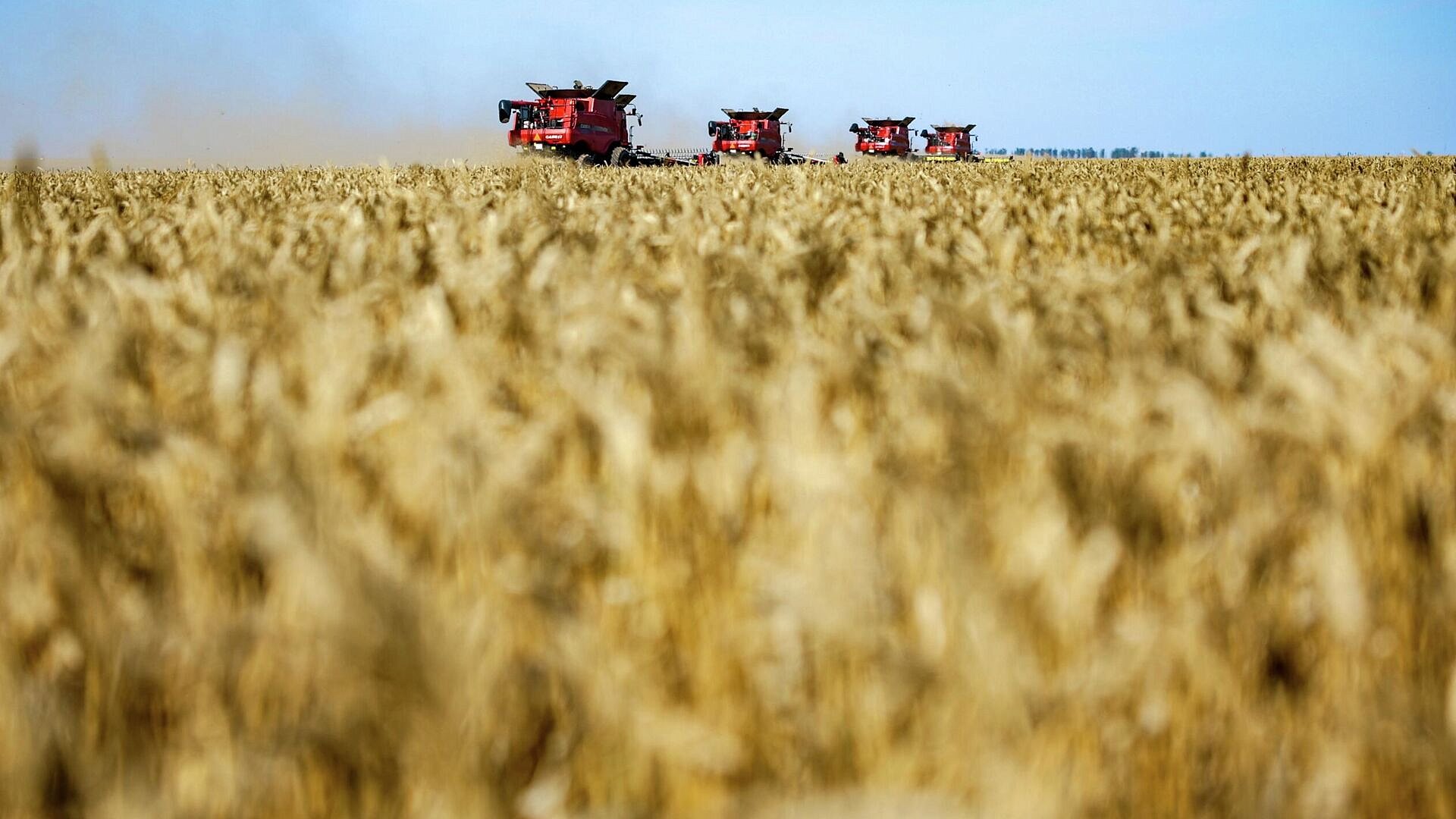 Мишусти рассказал о росте продукции сельскохозяйственного сектора