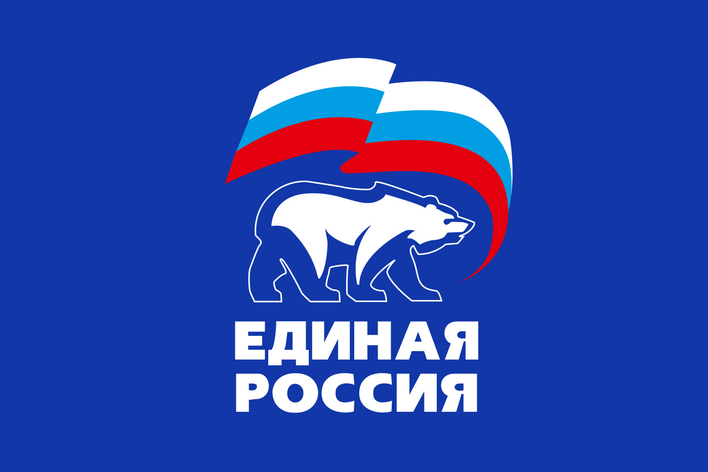 «Единая Россия»: Самбо должно быть доступно каждому