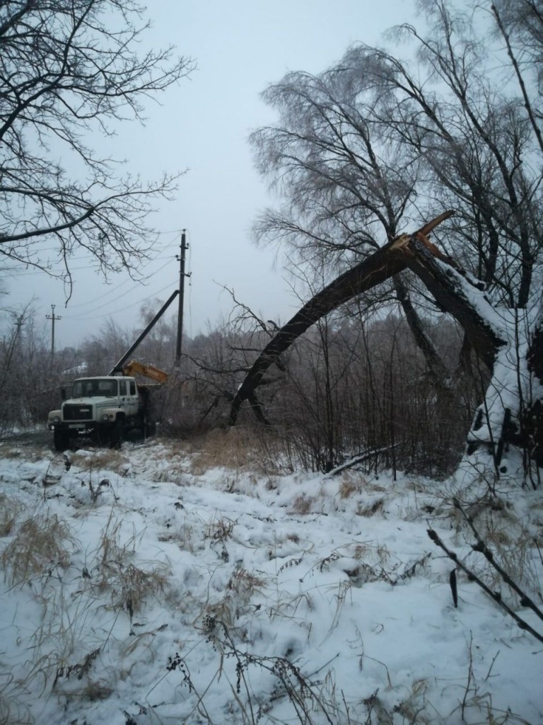 Ледяной дождь повалил более 550 деревьев в Нижнем Новгороде - фото 1