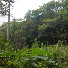 Нет света в приморском крае. Владивосток отключили электричество. Нет света в приморском крае. Куйтун отключение света сейчас. Рудная пристань приморский край наводнение.