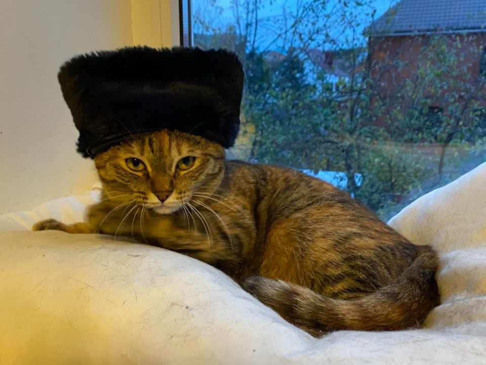 Быть в зимнем тренде можно всего за 200 рублей: вернулась мода на меховые шапки