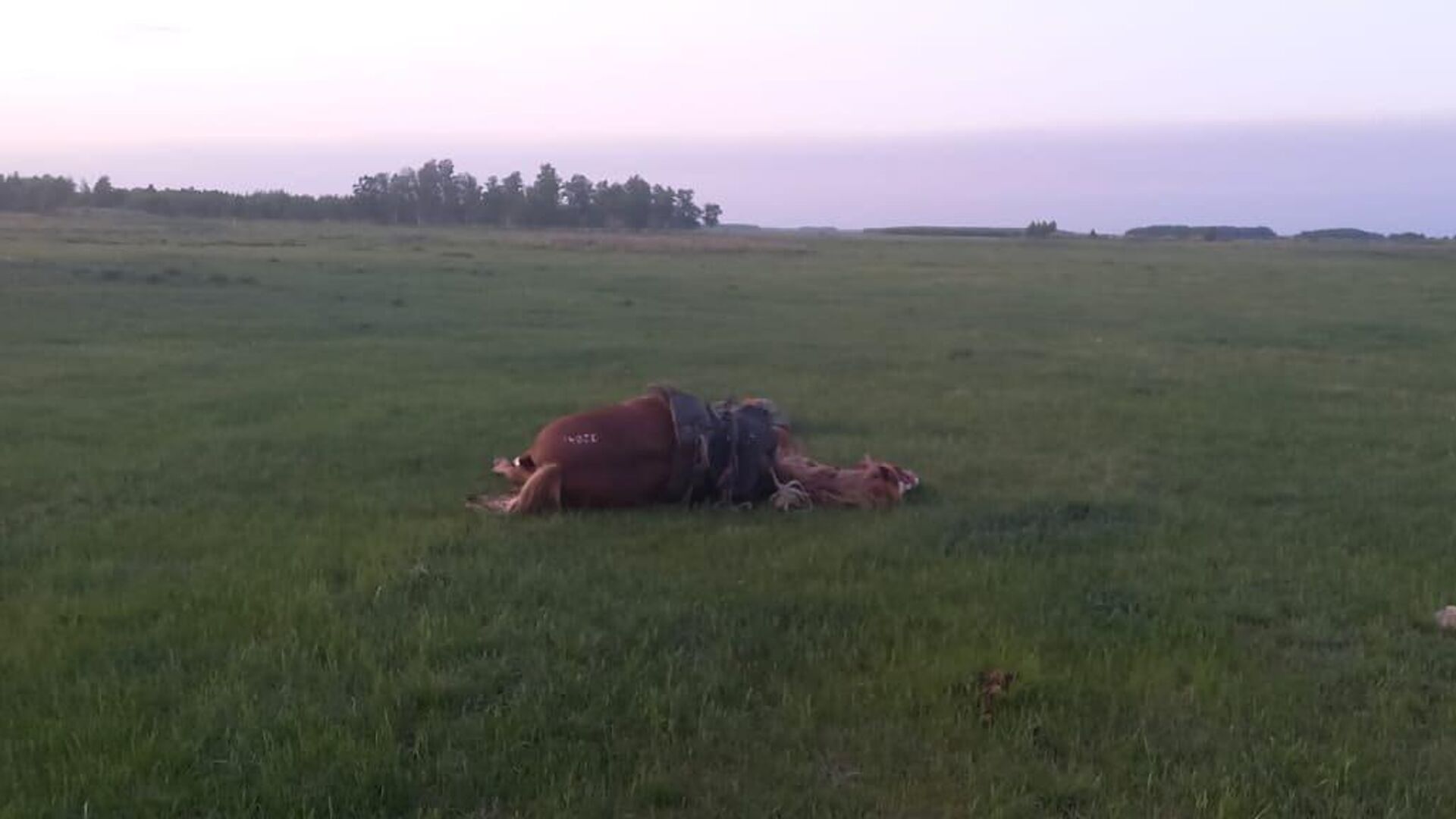 Пустота Казахстанской степи