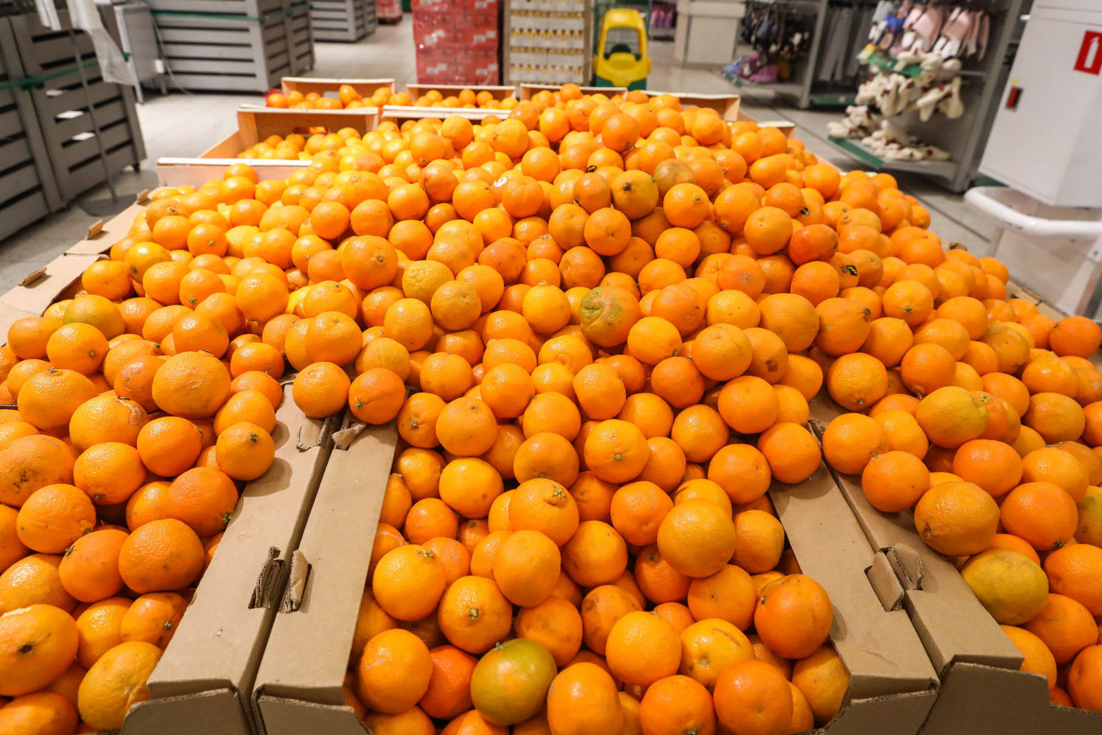 Мандарин спб. Мандарин реклама вывеска. Реклама мандарина. Отель мандарин санкт-петербург. Мандарин туроператор пхукет.