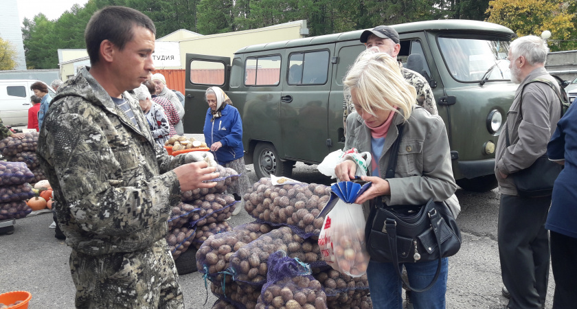 В Чувашии заработали сезонные ярмарки овощей, фруктов, ягод и мяса