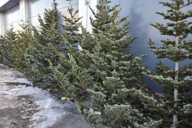 5856896.jpg?8f420e8b938884800ee8073d8ad9a307