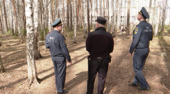 Сотрудники МЧС и полиции патрулируют леса и парки