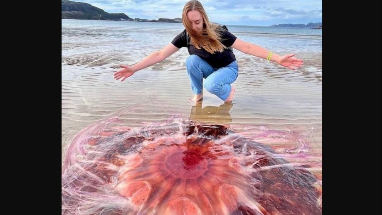 медуза у берега