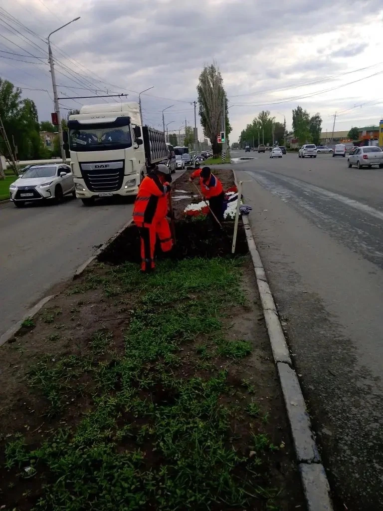 В Балаково продолжается высадка цветов