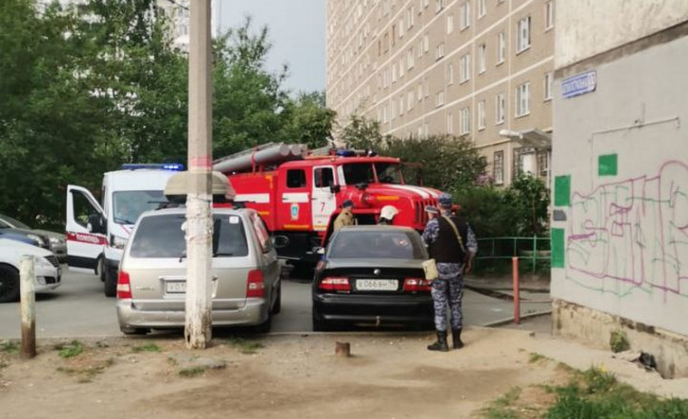 пожар в москве. пожар. ликвидация лесных пожаров. ущерб вайлдберриз от пожара. жк аист спб на тамбасова.
