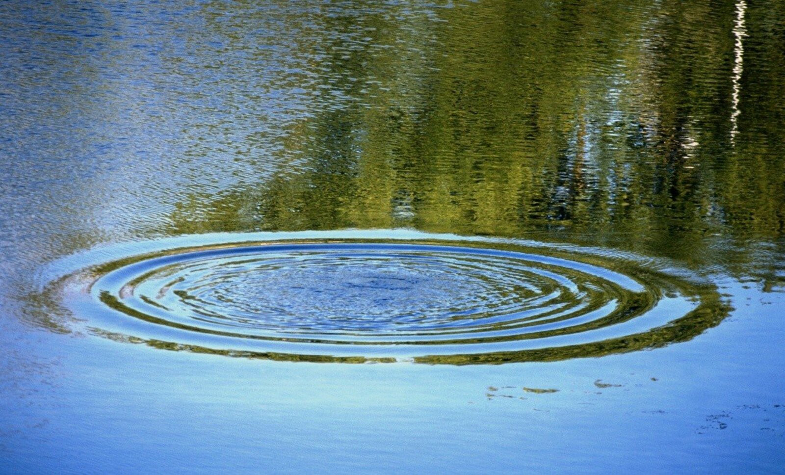 В момент открытия водоема вода