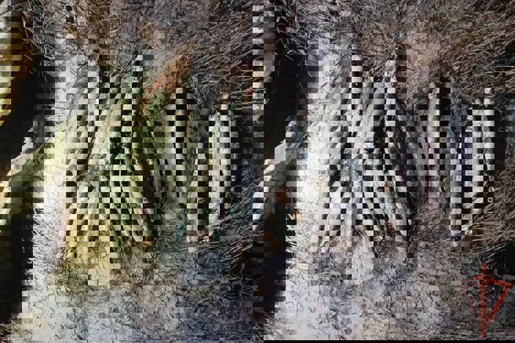 При содействии иркутского ОМОН Росгвардии в Бурятии пресечена незаконная добыча водных биологических ресурсов