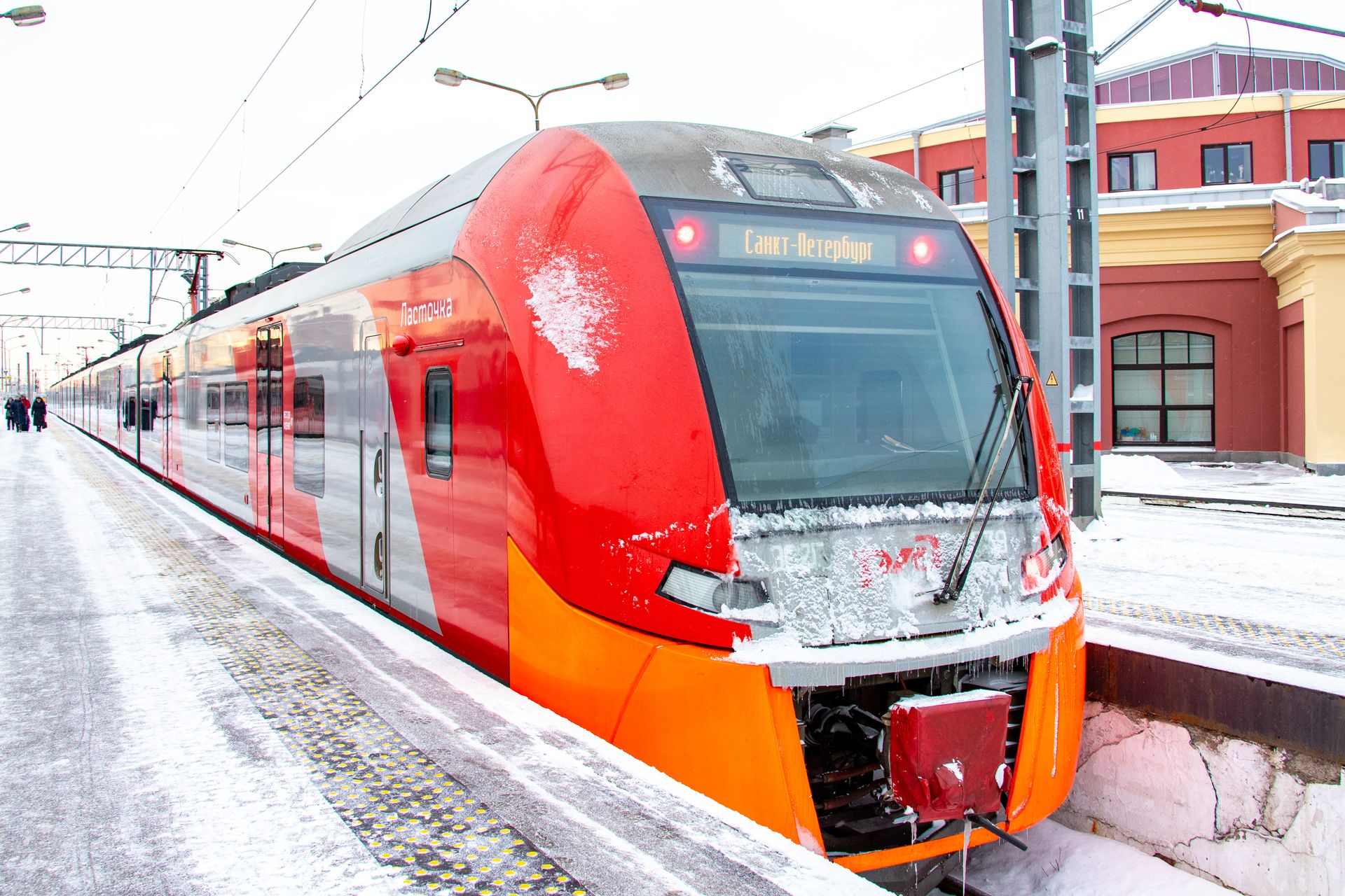 ласточка петрозаводск санкт петербург