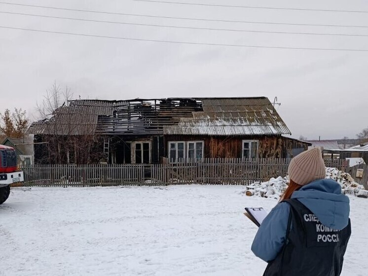 «Извещатель поздно сработал»: что известно о пожаре в селе Новосибирской области, где погибла школьница