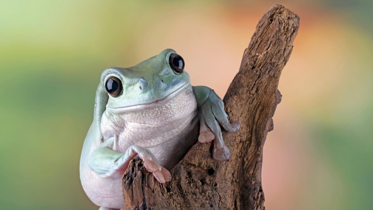 Международное научное сообщество было потрясено...