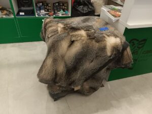 павильон хабаровска вэф