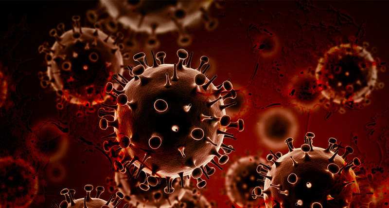 Учёные нашли способ вернуть раковые клетки в здоровое состояние