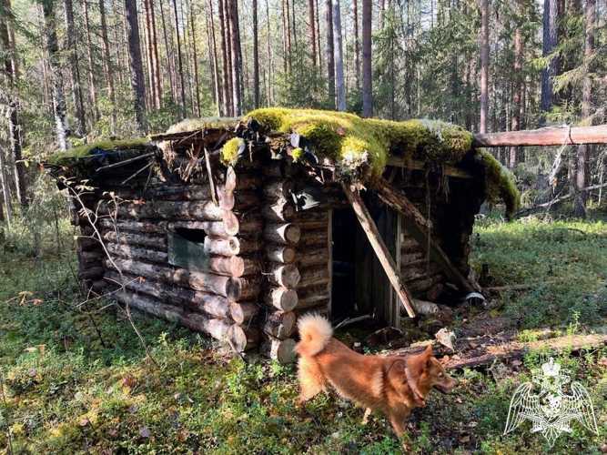 Жители Коми продолжают добровольно сдавать в Росгвардию найденное оружие