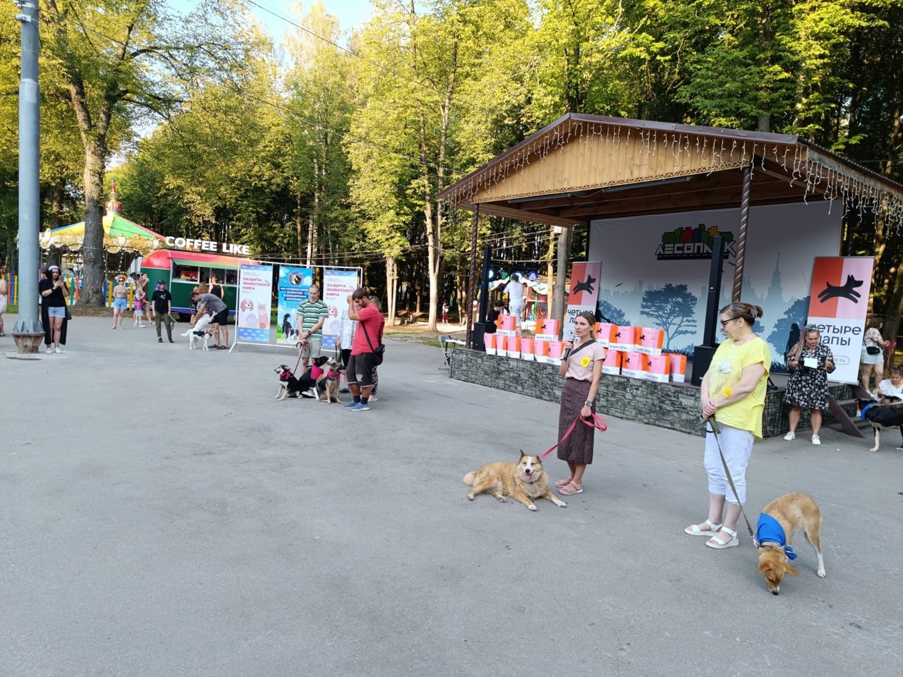 Городской парк Шумерля. Городской парк культуры Шумерля. Кафе едьба Яровое. Парка культуры и отдыха города Шумерля.