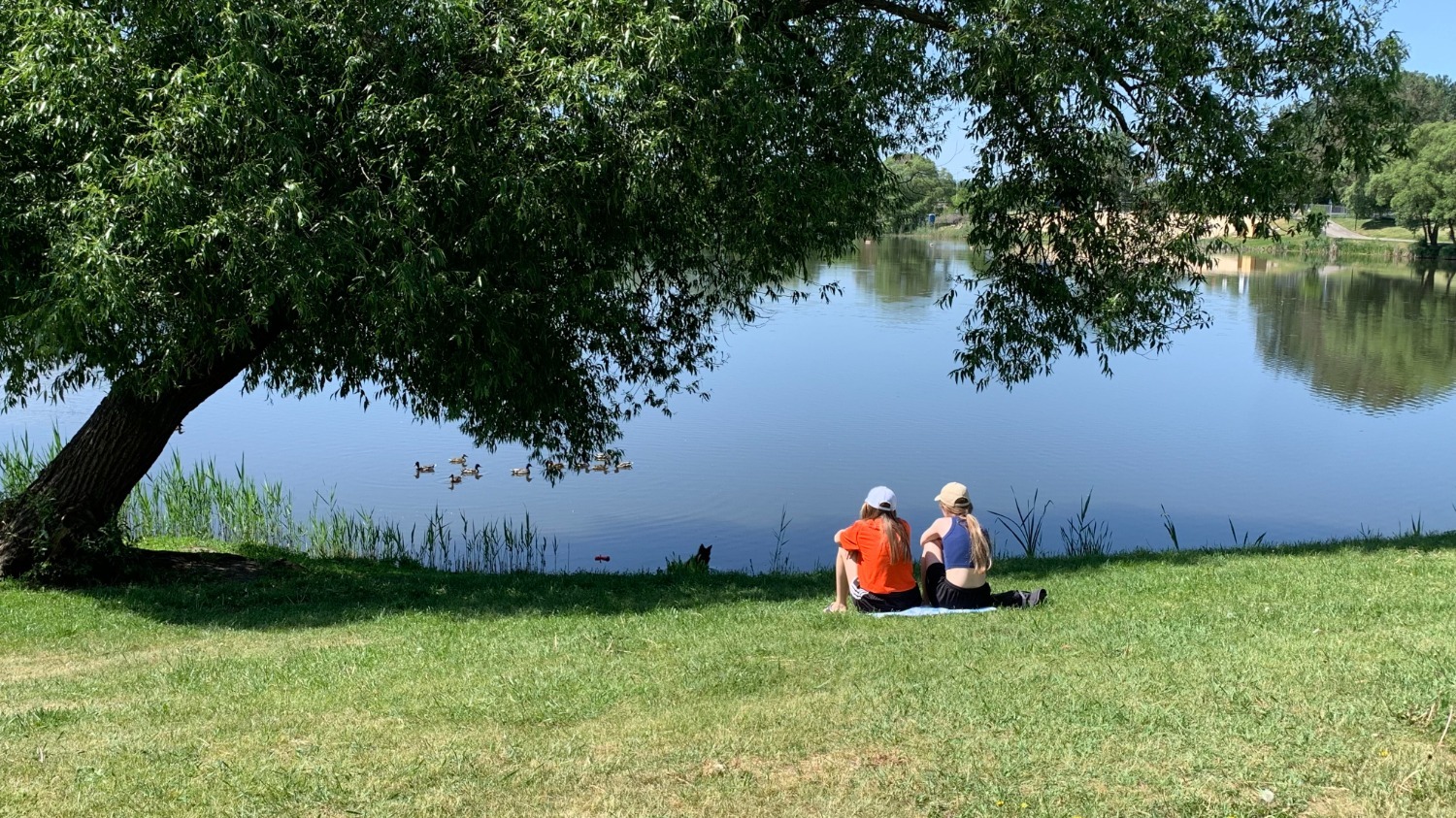 В каком состоянии белгород. Пожар на нефтебазе в белгороде. Поселок свободное днр. Многоэтажка. В каком состоянии белгород.