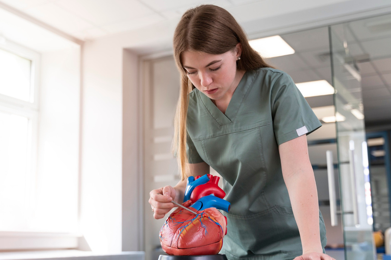 Medical learn. Medical learn