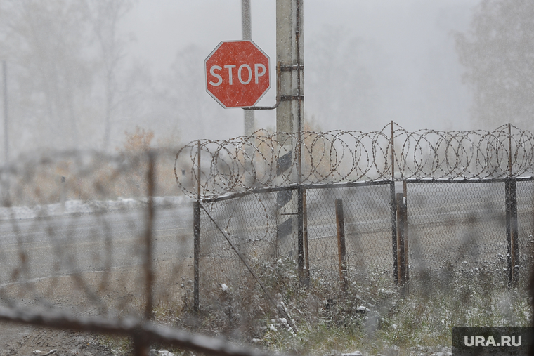 Трассу М-5 в Челябинской области перекрыли из-за снегопада