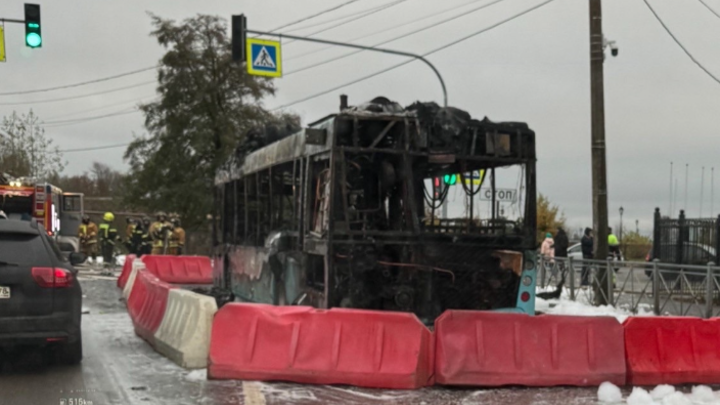 В Кронштадте полностью сгорел лазурный автобус