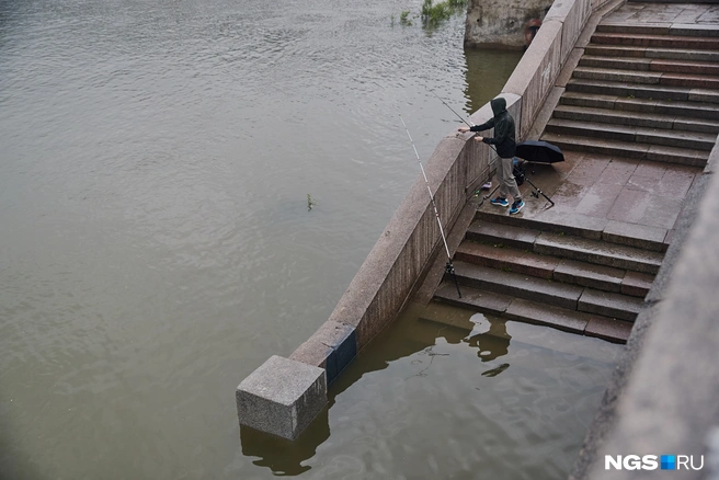 Вода в оби поднимается