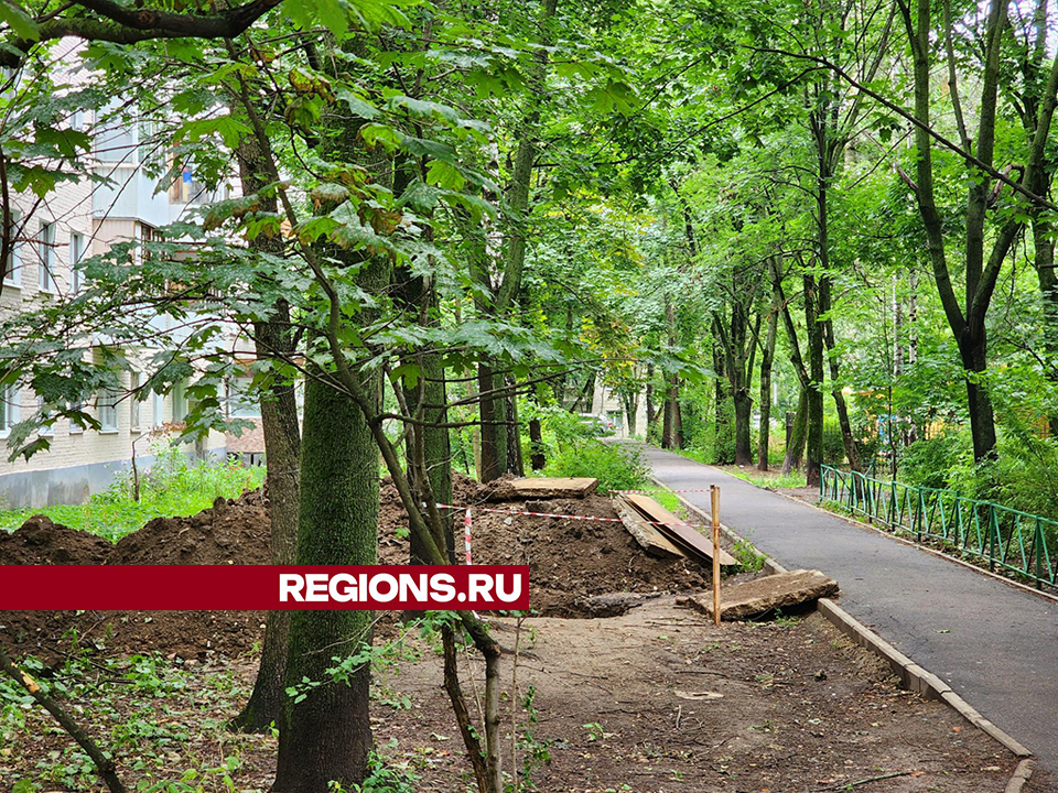 Фото: Роман Савельев