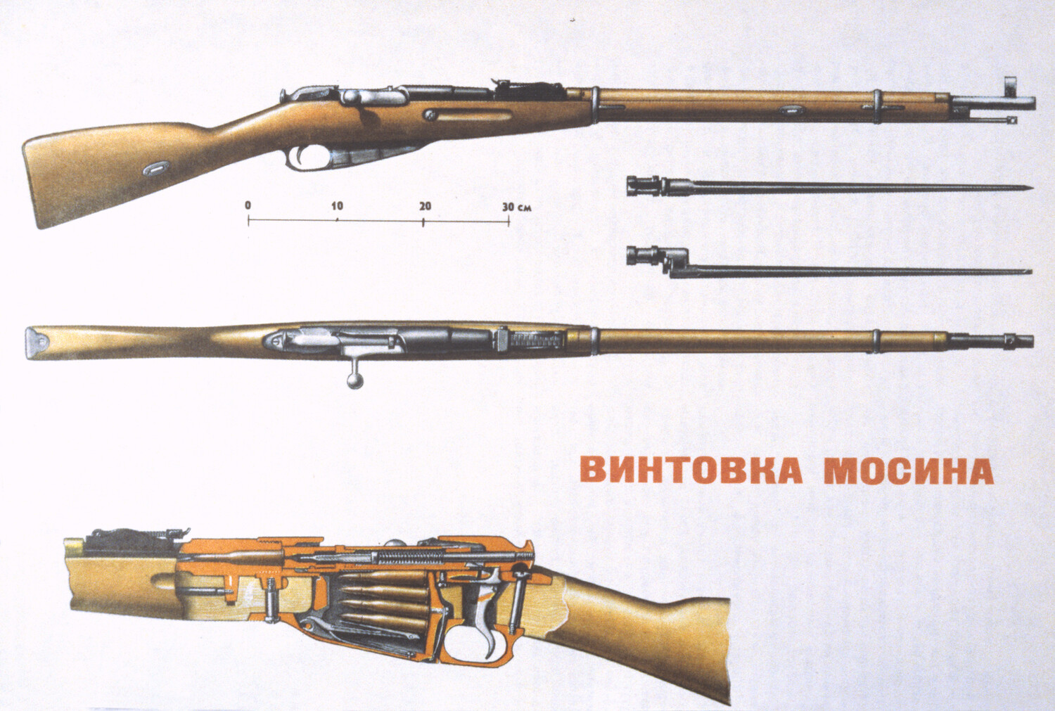 Винтовка мосина образца 1930 года