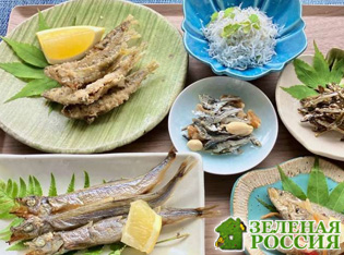 Употребление мелкой рыбы целиком может продлить продолжительность жизни, показало японское исследование