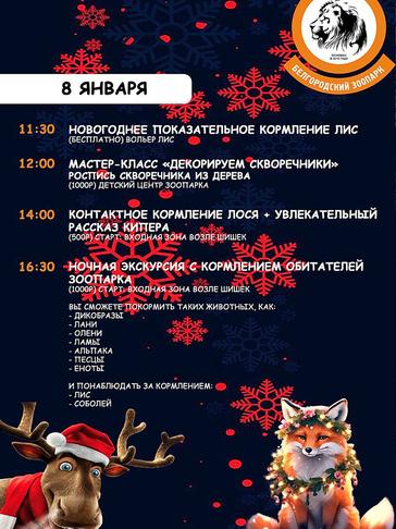 Как отдохнуть белгородцам 8–11 января - Изображение 1