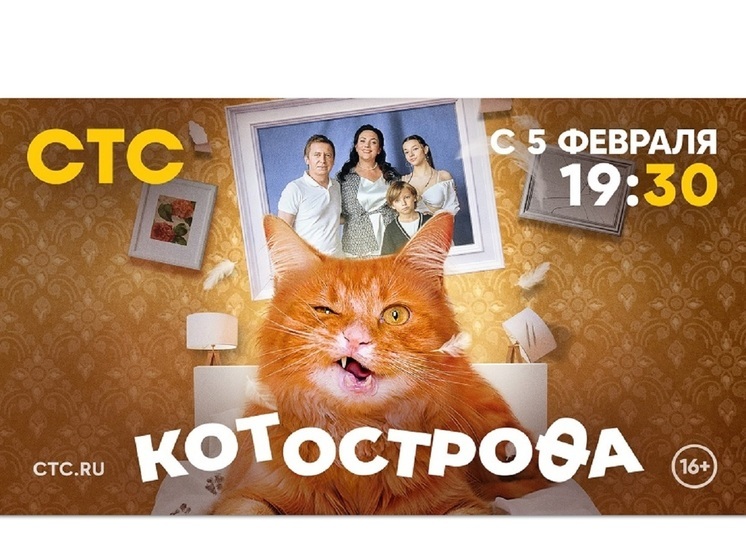Павел Деревянко сыграл кота в сериале