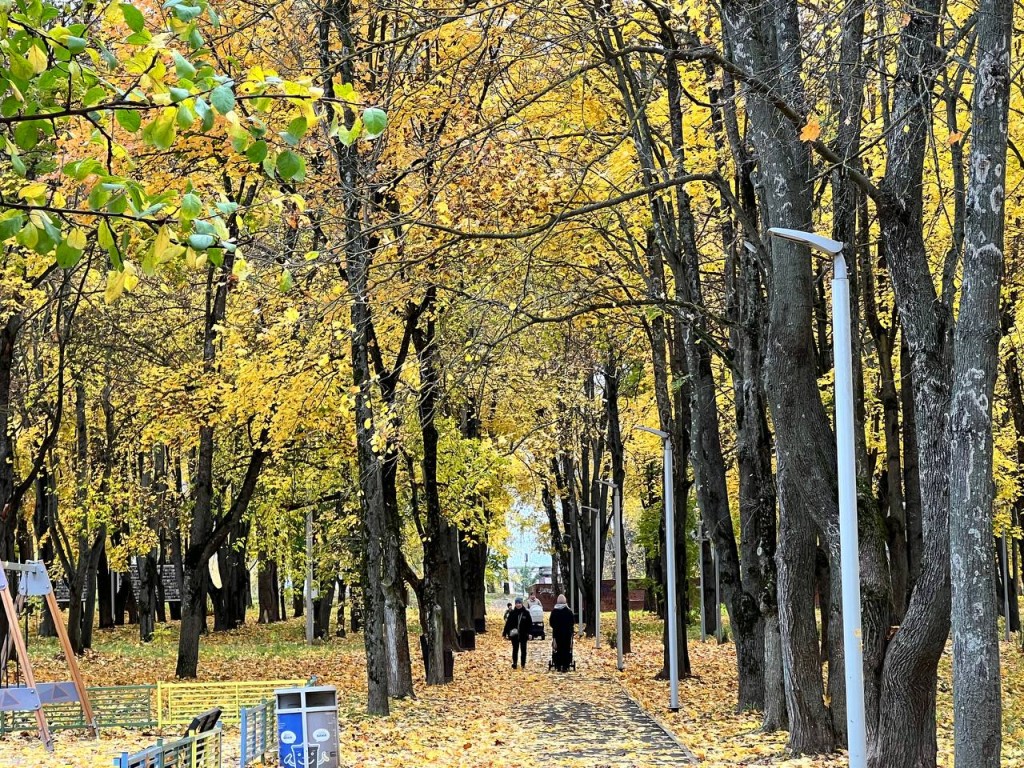Как долго продержится аномальное тепло в Подмосковье, рассказал синоптик Вильфанд