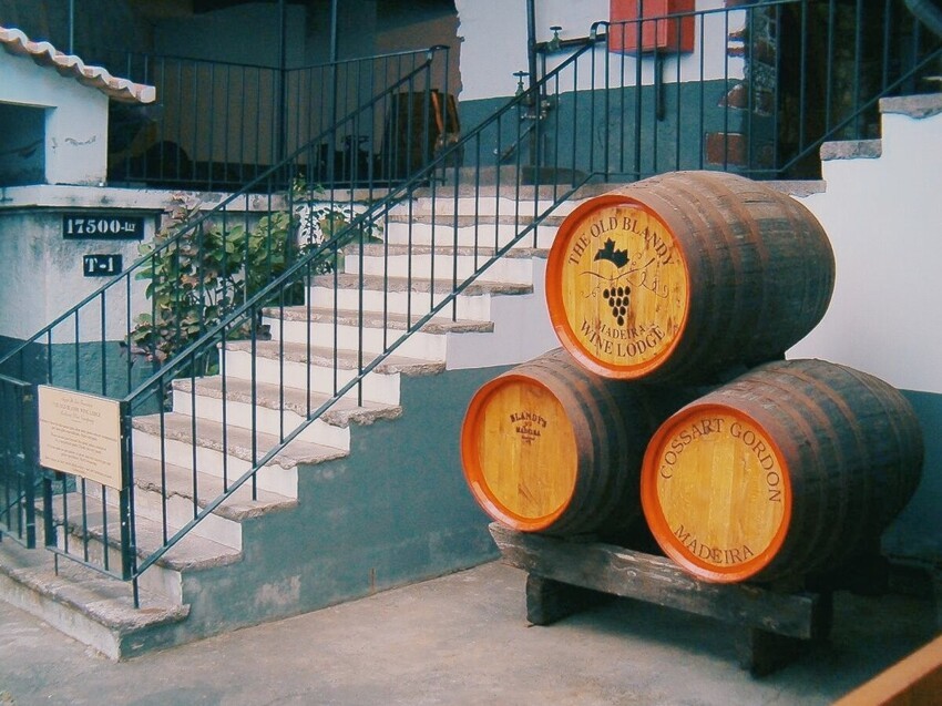 Что связывает Криштиану Роналду, креплёное вино и самые большие запасы лаврового листа в мире