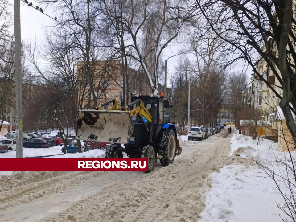 Фото: Светлана Плотникова