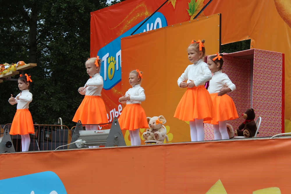 Фестиваль моркови. Фестиваль рыжих в удмуртии. Рыжий фестиваль ижевск 2022. Атрибуты к рыжему фестивалю. Удмурты фестиваль рыжих.