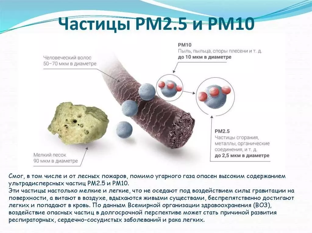 Размер частицы PM2.5 в сравнении с человеческим волосом и частицей песка