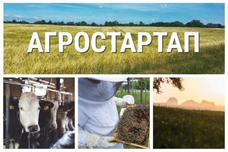 От полутора до семи миллионов рублей могут получить жители области на стартапы в агробизнесе
