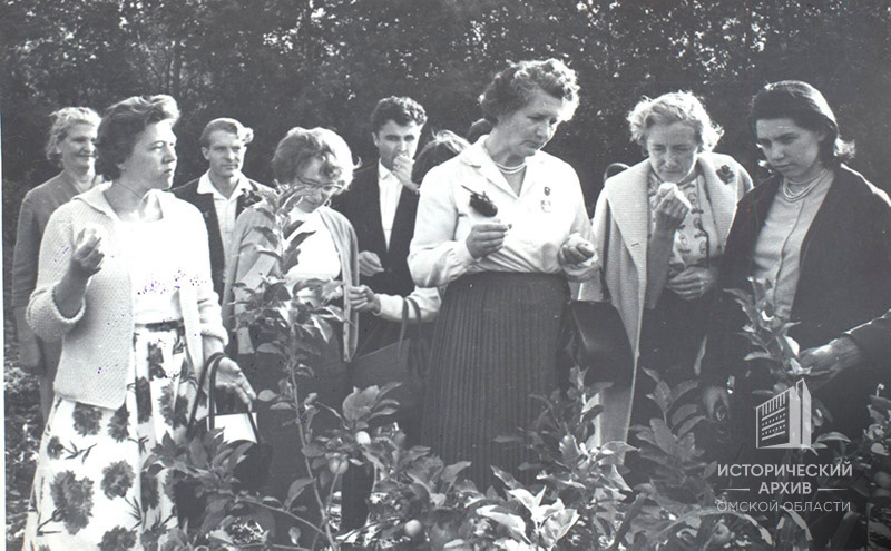 Делегация канадских женщин-коммунисток в плодосаду Омского нефтеперерабатывающего завода, 1963 год
