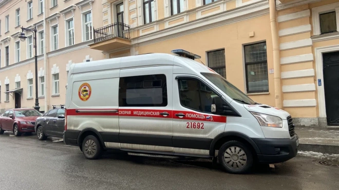 Бастрыкин поручил провести проверку по факту смерти 10-летнего ребенка в Петербурге