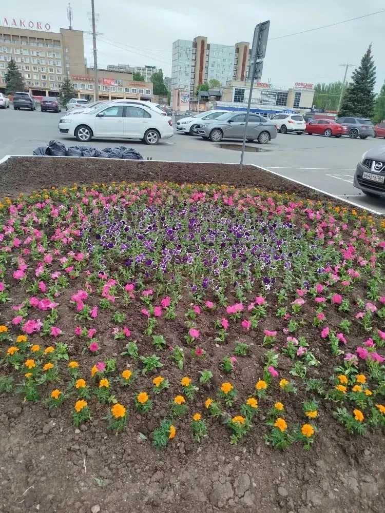 «Комбинат благоустройства» продолжает украшать город цветами
