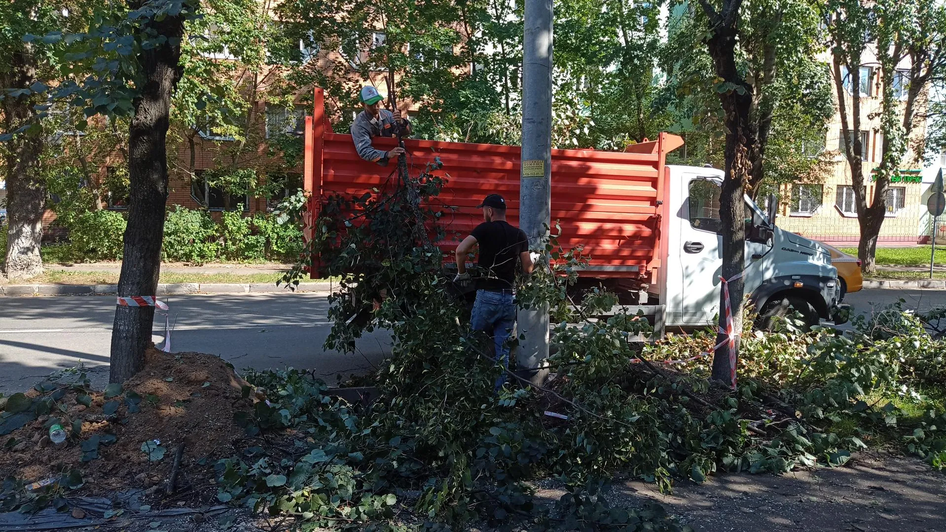 Пожар в реутове сейчас. Тополь обрезанный.