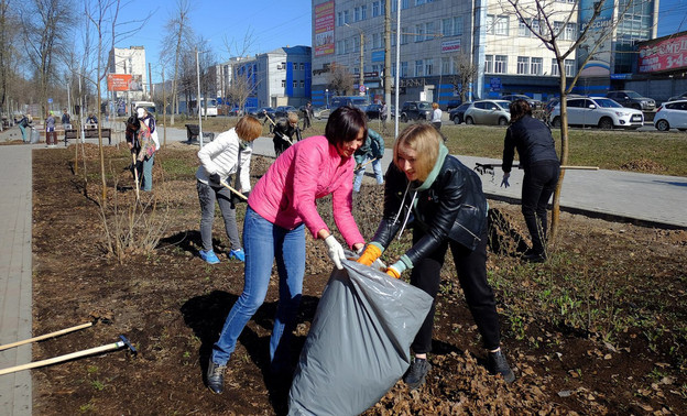 В Кировской области провели 80 субботников в рамках акции «Зеленая Россия»