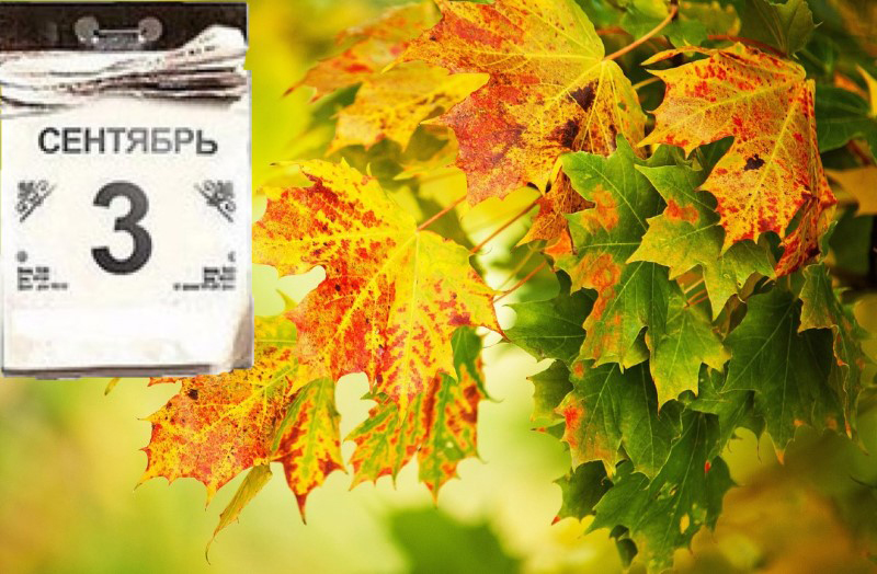 14 сентября осенины картинки. Красивая осень. Сентябрь природа. 6 сентября природа. Осень листопад.