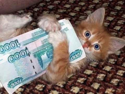 Банки запустили тест по переводу зарплаты через СБП