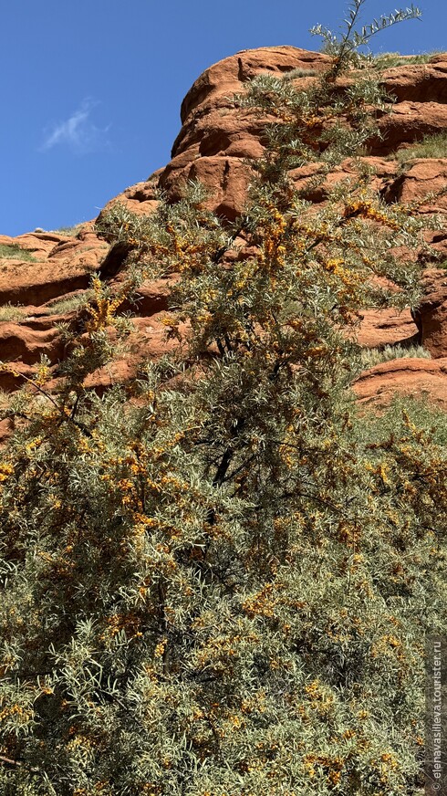 «Сказка» странствий