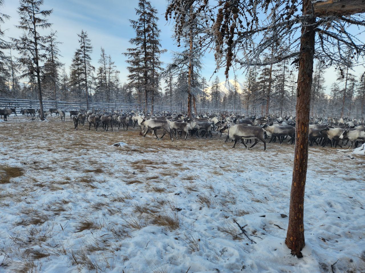 Фото страницы