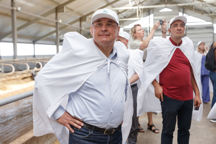  Ивана Михайловича при всем уважении нельзя назвать человеком оперативного принятия решений — АБХ большой и включает в себя не только сельское хозяйство