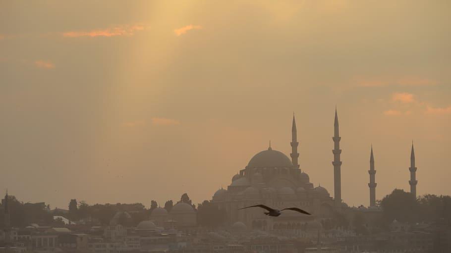 Часть Турции окутал плотный радиационный туман