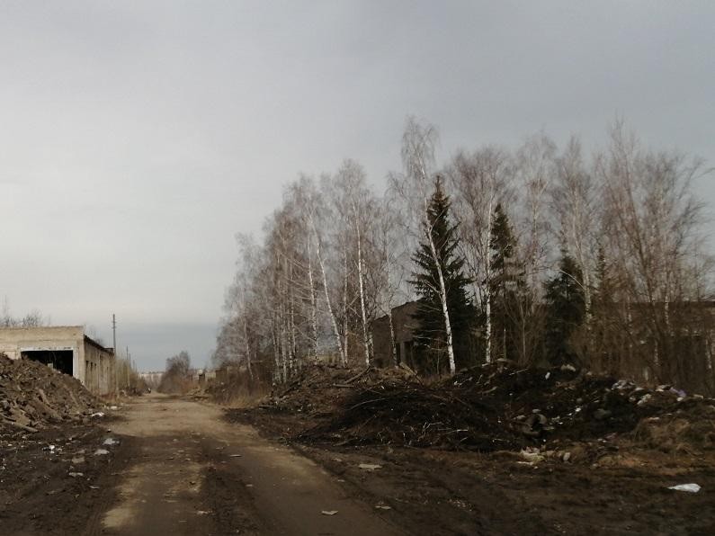 Ущерб в пять миллионов от свалки в Дмитровском округе взыскивают специалисты Минэкологии